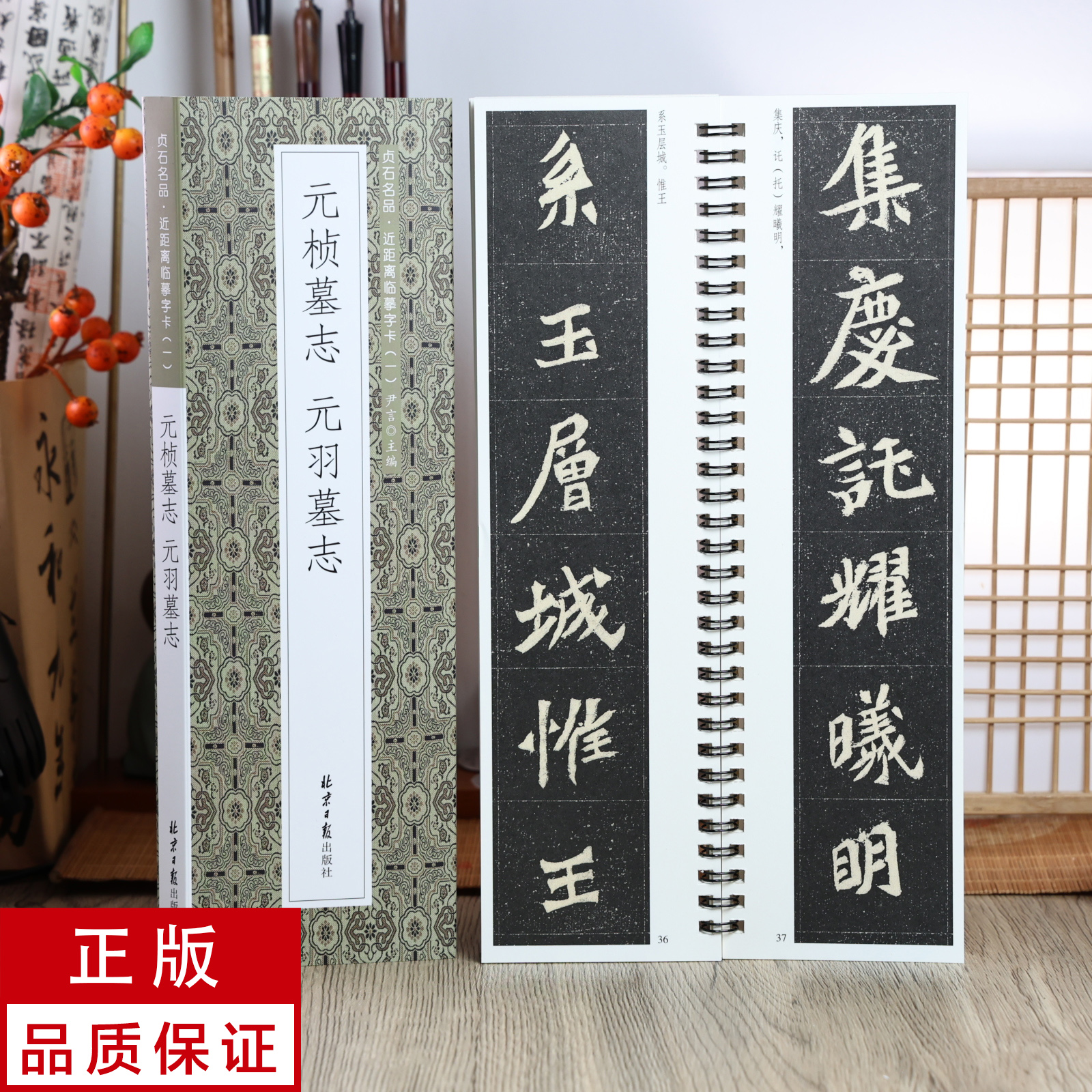 元桢墓志 元羽墓志 魏碑 静文轩近距离临摹字帖