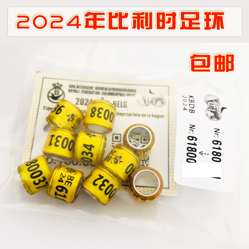 2024年比利时环 荷兰环 足环
