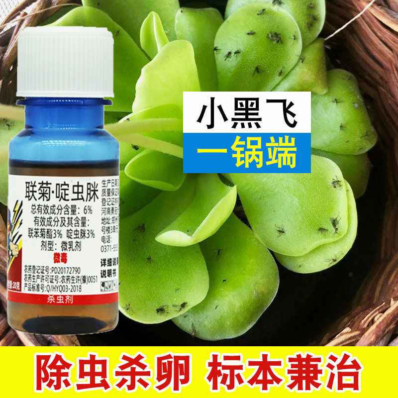 小黑飞小白飞蛾花卉多肉绿萝园艺通用白粉虱蚜虫腻虫农药百虫灵