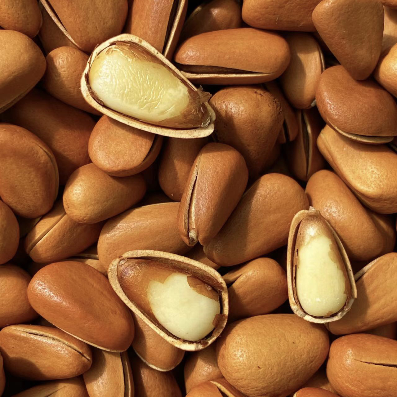 2025东北开口红松子（850大颗粒）零食坚果土特产手剥松子1罐起包邮