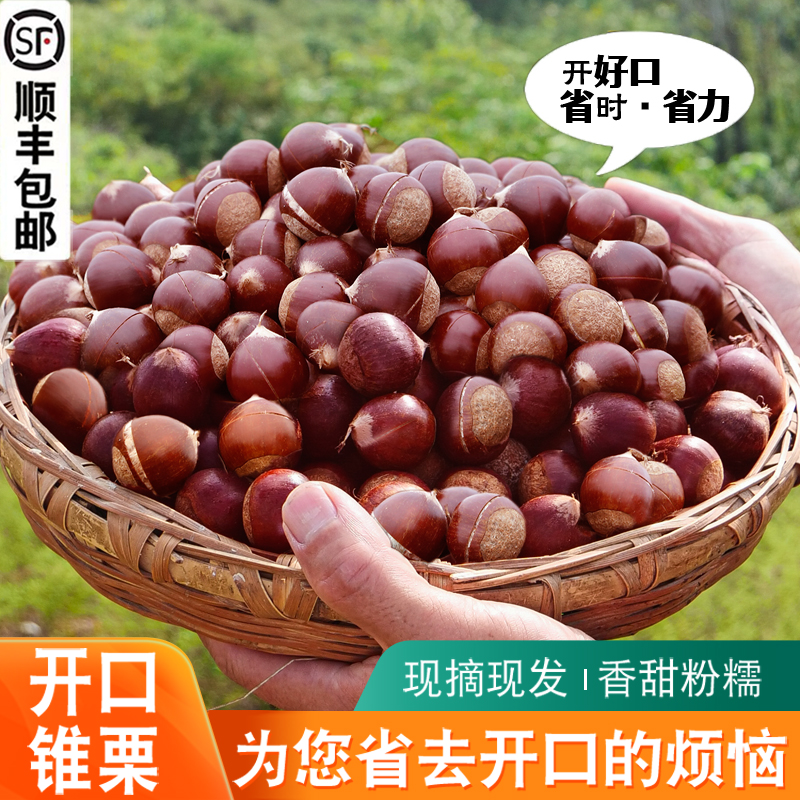 开好口）油锥栗新鲜生板栗现摘建瓯高山油栗子福建甜糯鲜栗2/3/5斤