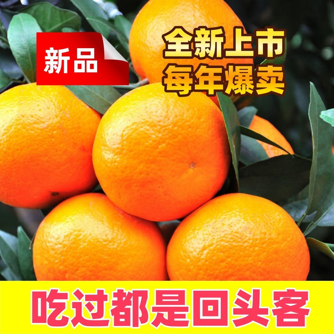 【果园直发】广西金秋砂糖橘当季新鲜水果薄皮沙糖桔子蜜桔蜜橘子