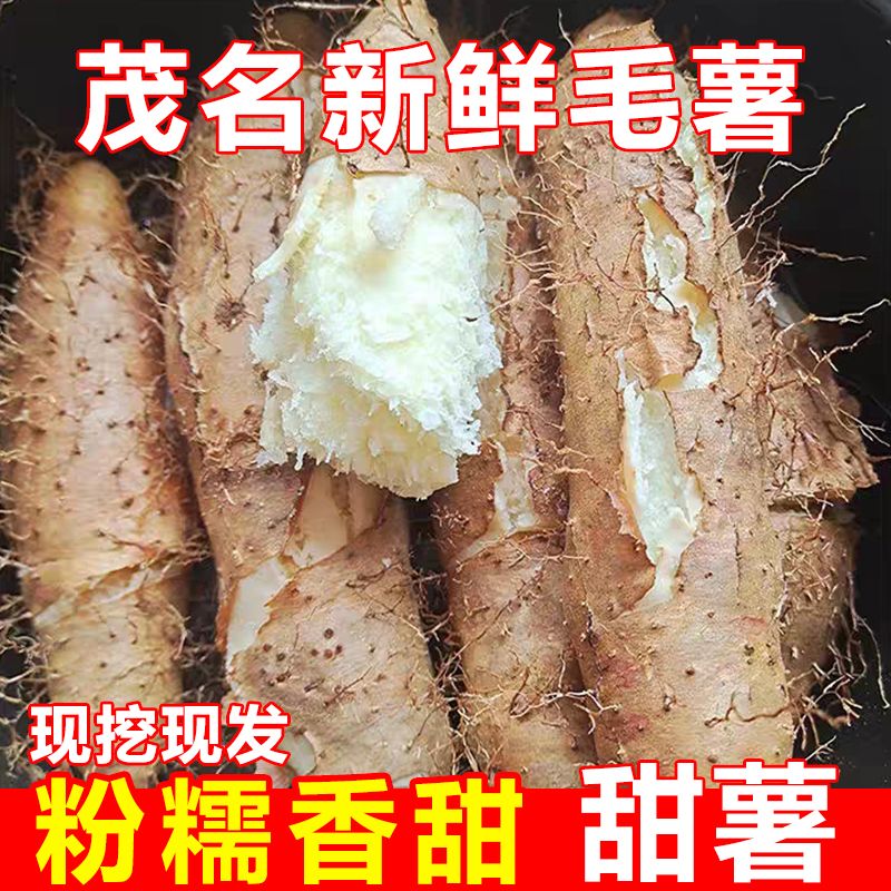 【高州海专选】正宗新鲜毛薯茂名甜薯山药农家自种火苕脚板薯粉糯香