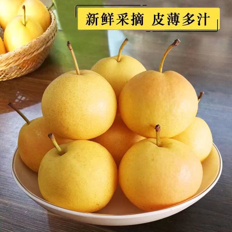 鞍山南果梨产地直发4.5斤包邮