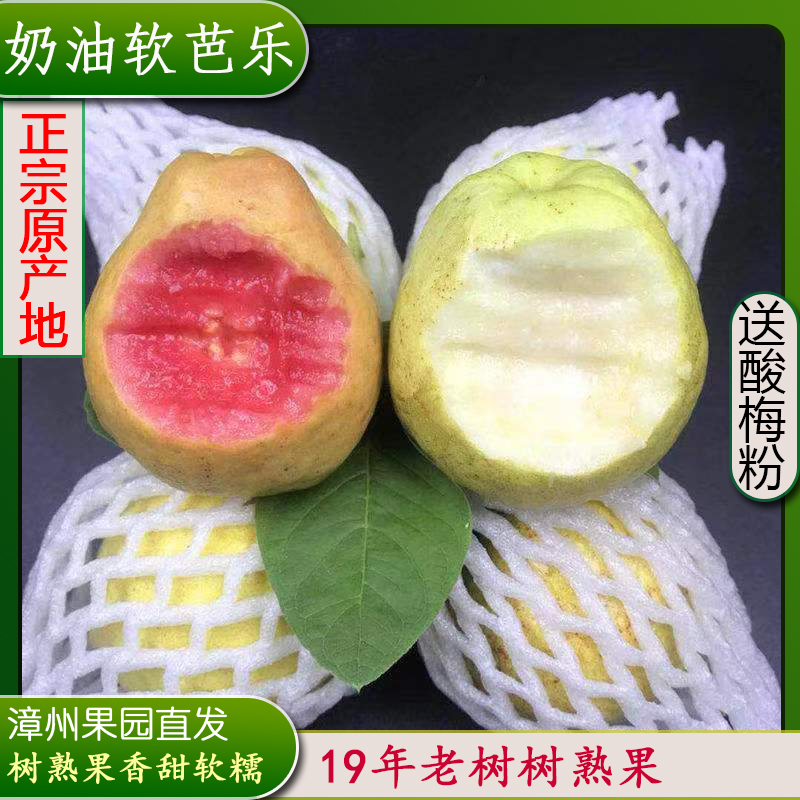 应季新鲜奶油软芭乐红心软芭乐口感软糯香甜软心水果番石榴树熟果