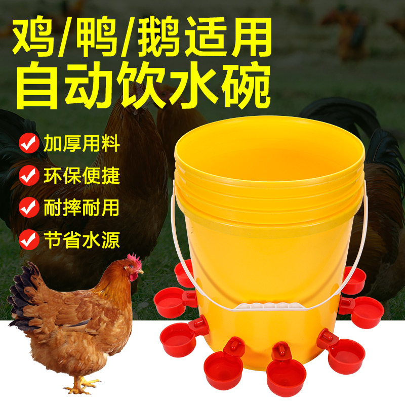 新款家禽自动饮水器鸡鸭鹅鸽子水满自停小鸡饮水碗自动喝水装置