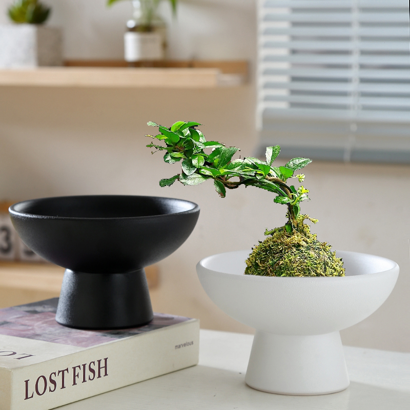 苔藓球米竹无孔水培菖蒲陶瓷花盆托盘水养植物创意家用剑山高脚