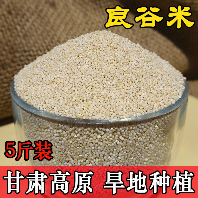 嘟角鲜良谷米5斤正宗甘肃特产农家旱地新米熬稀饭煮粥月子小米粥