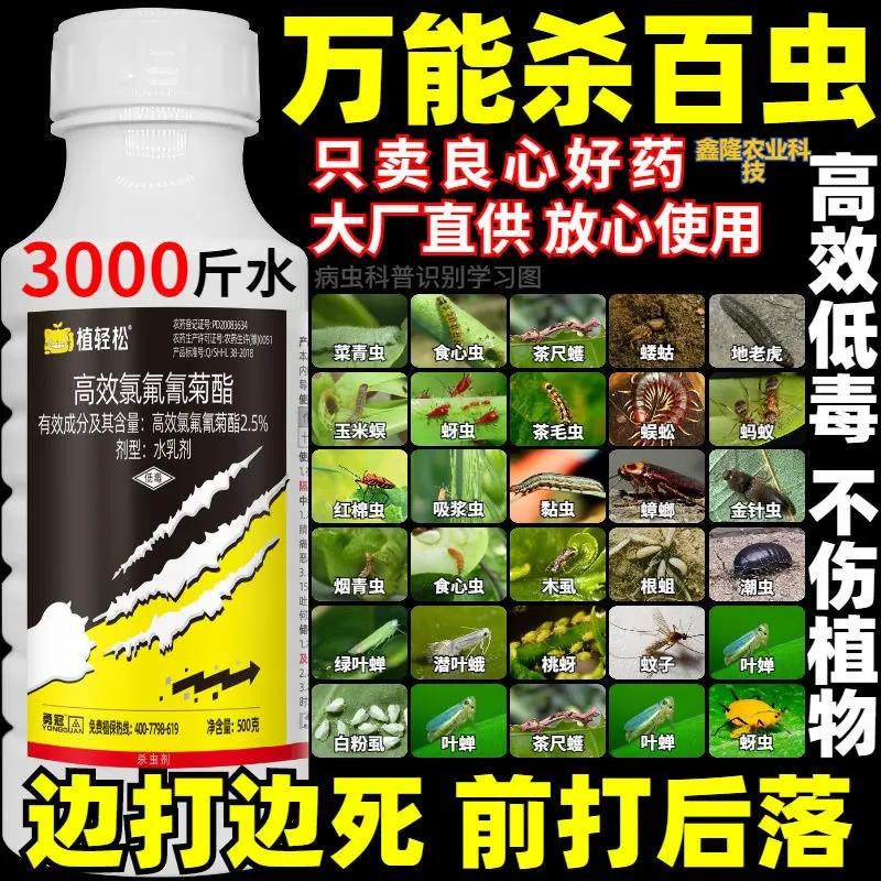 高效氯氰氟菊酯杀虫剂蔬菜青蚜虫食心虫地下害虫果树花卉杀虫农药