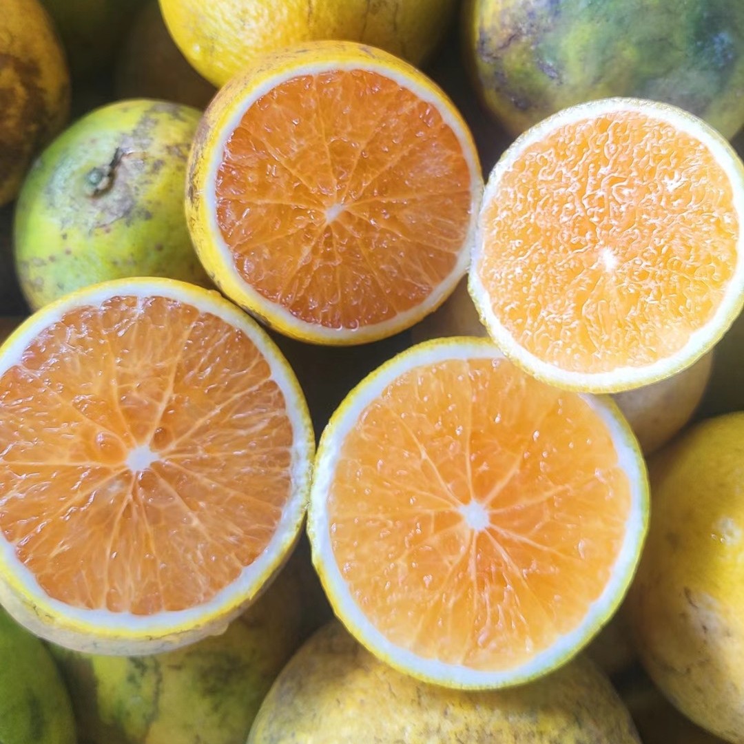 海南正宗琼中绿橙花皮果统果五斤