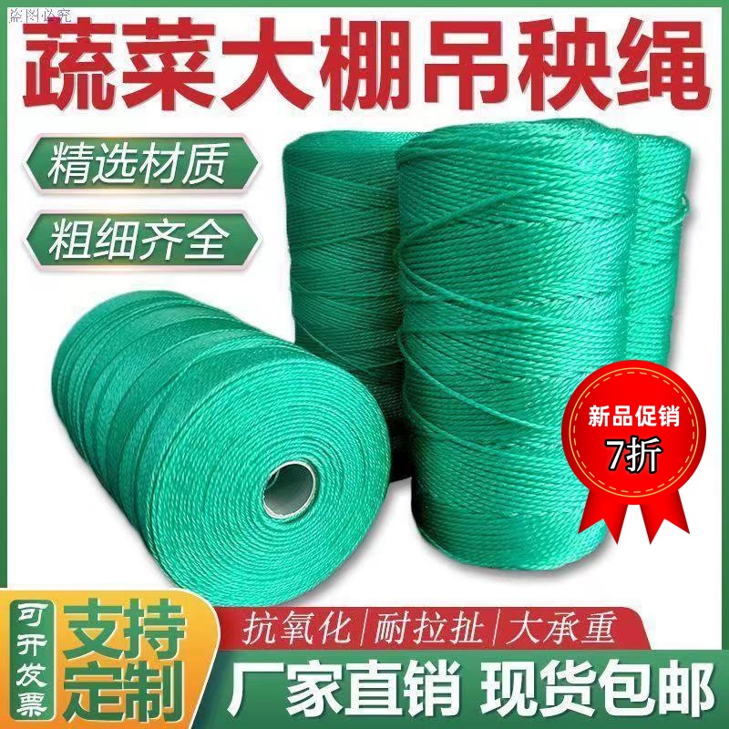 尼龙绳吊秧绳打草绳绳网爬藤植物防晒抗老化大棚蔬菜水果拉绳吊绳
