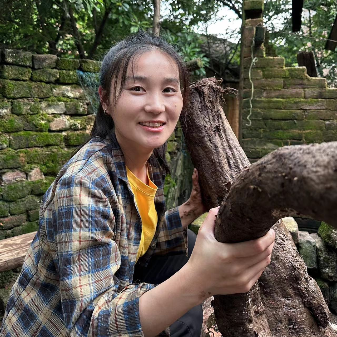 杨晨在农村 农家制作深山特产野生葛根粉3瓶1500克 传统营养干净