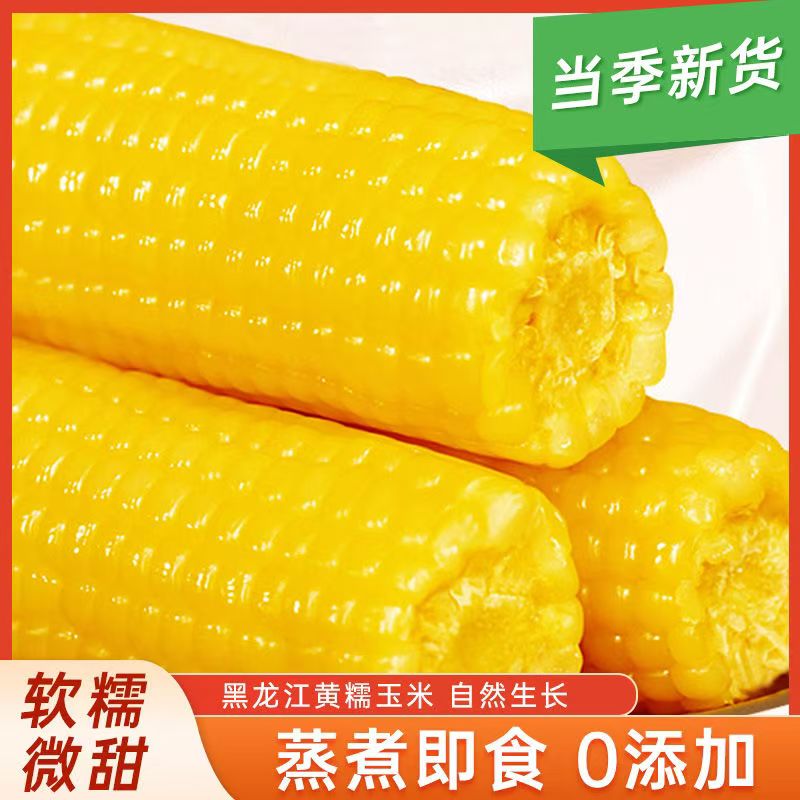 【工厂直营高端小黄玉米】正宗东北小黄糯玉米200g/根*10根+送2根