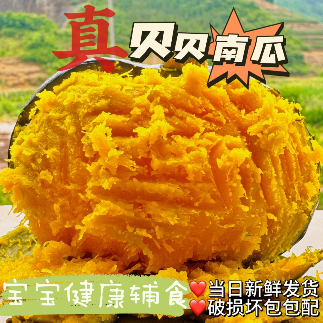 N4 新鲜采摘沙地贝贝南瓜粉糯带箱5斤装不粉包赔4-8个