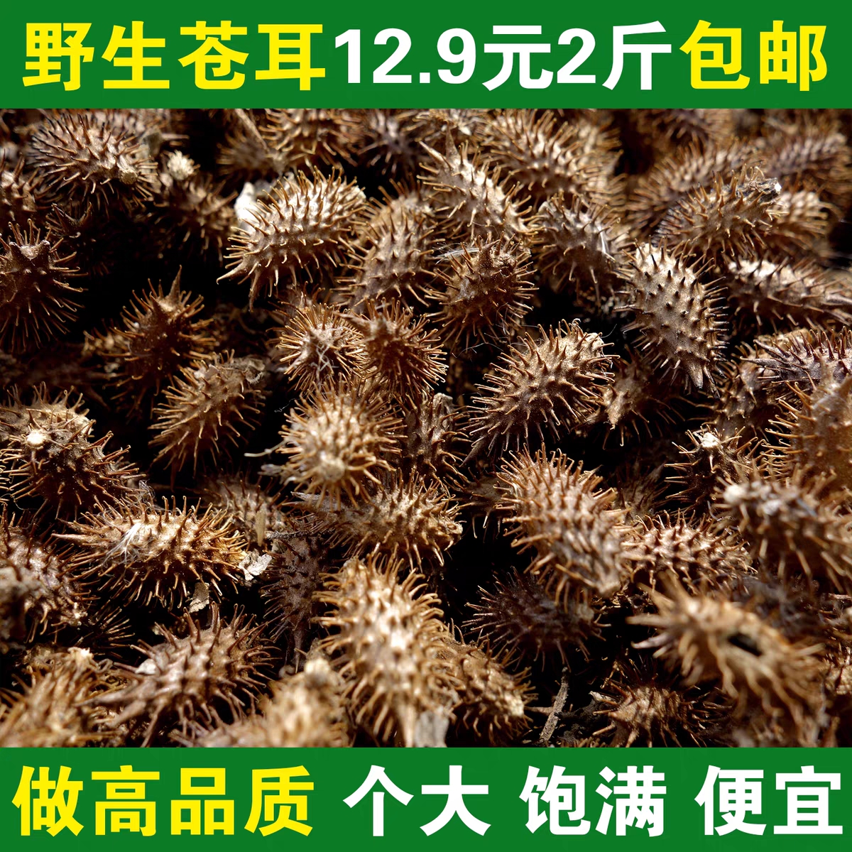 2023年新货大山采摘苍耳子中药材包邮无添加毛苍子鼻塞喷嚏苍耳