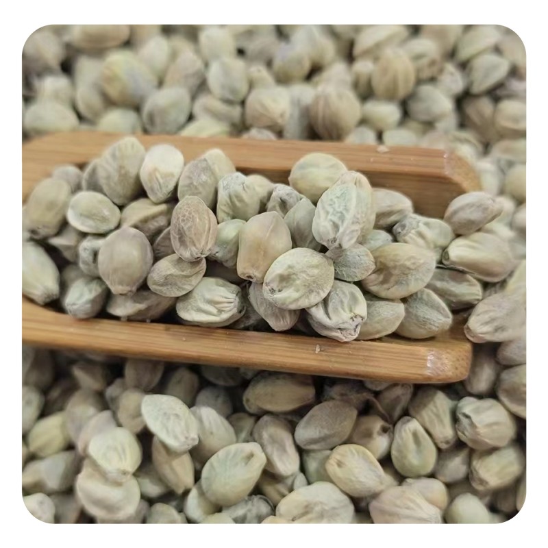 天水秦安麻子甘肃特产生熟美味麻籽精选带壳麻子批发包邮