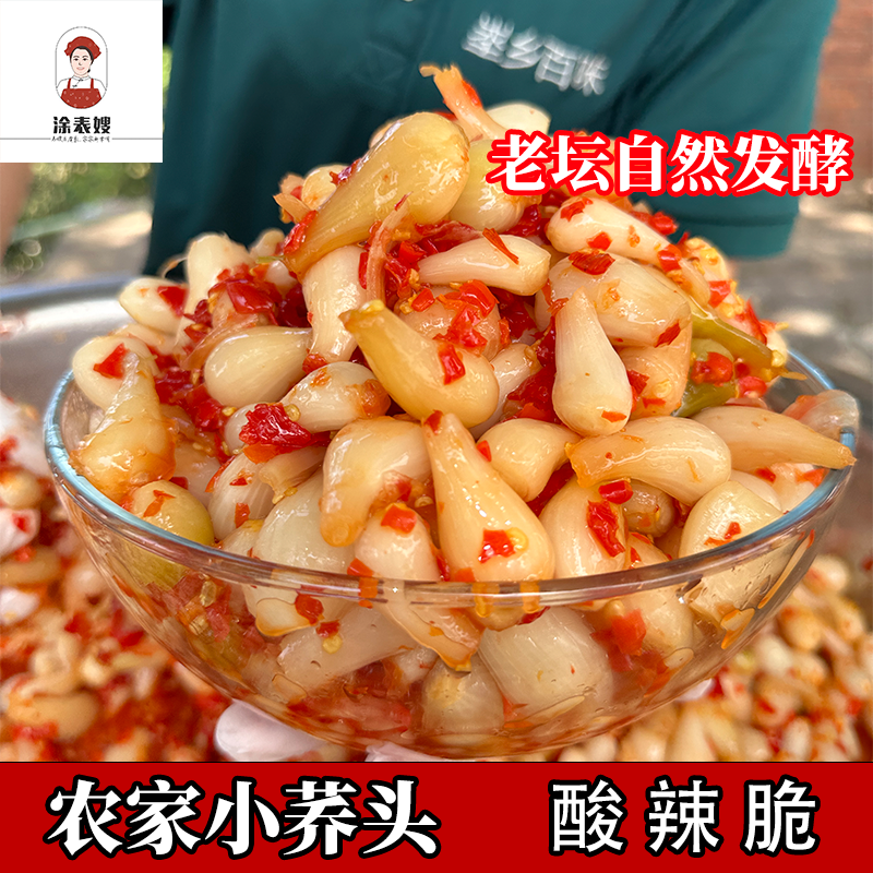 涂表嫂酸辣小荞头江西特产老坛自然发酵酸辣脆嫩爽口260-500g