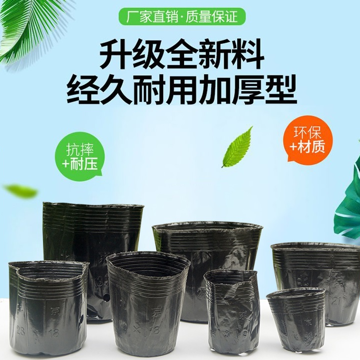 【50个】营养杯育苗盆育苗袋育苗杯育苗盒营养钵育种培育一次性花盆