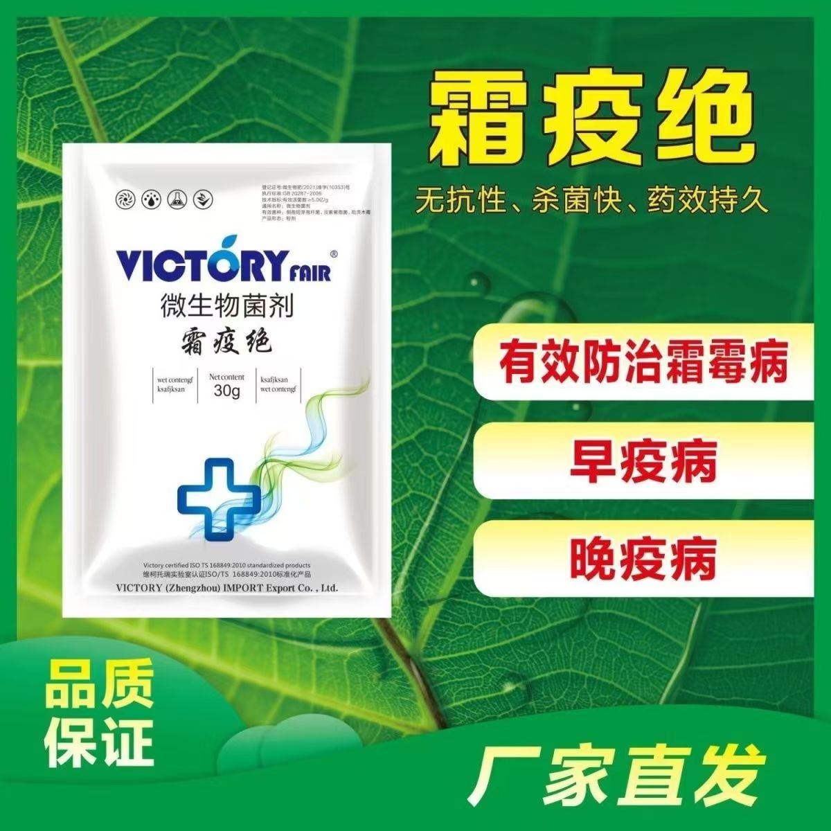 微生物菌剂霜疫绝专治黄瓜霜霉病辣椒番茄疫病微生物菌剂