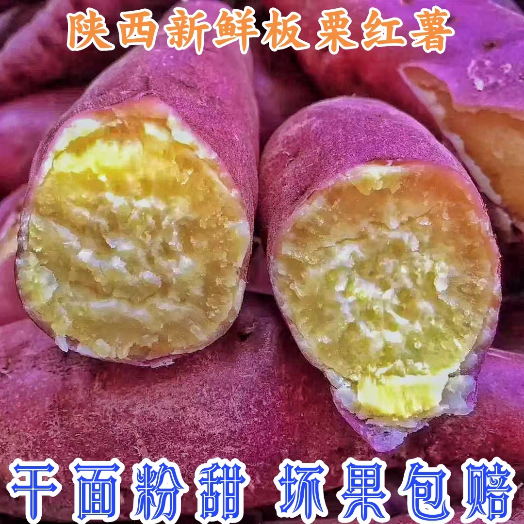 陕西沙地板栗红薯现挖现发新鲜番薯农家自种干面粉甜地瓜红薯红芋