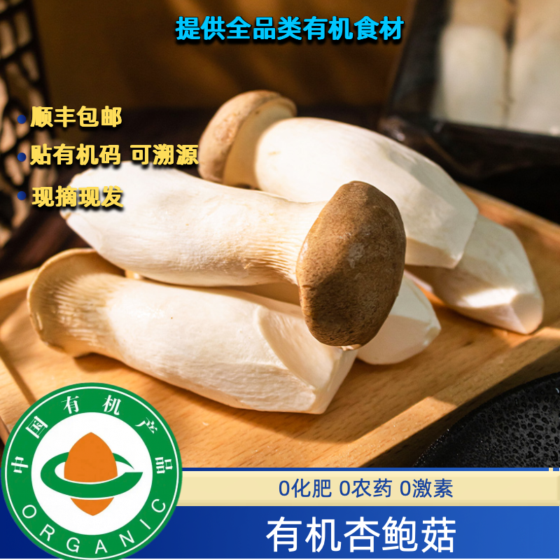 有机杏鲍菇2斤装，低卡营养美味新鲜食用菌蘑菇无农残不打药新鲜发