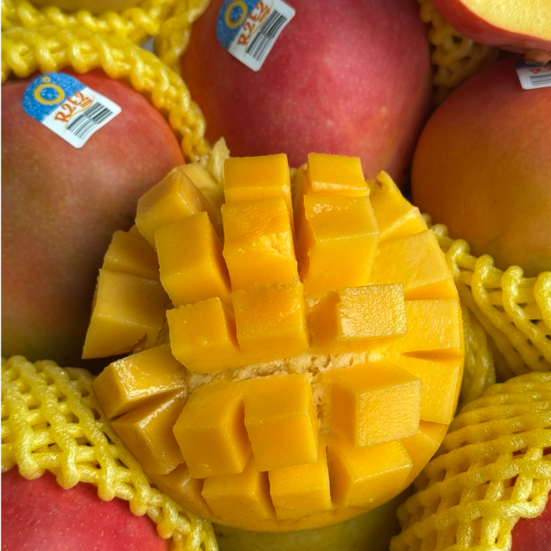 进口澳洲芒果R2E2品种正宗澳芒大芒果无纤维肉厚超甜顺丰空运