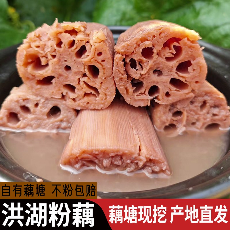 湖北正宗洪湖粉藕煲汤藕3斤5斤1斤九孔莲藕新鲜现挖糯米糖藕面藕