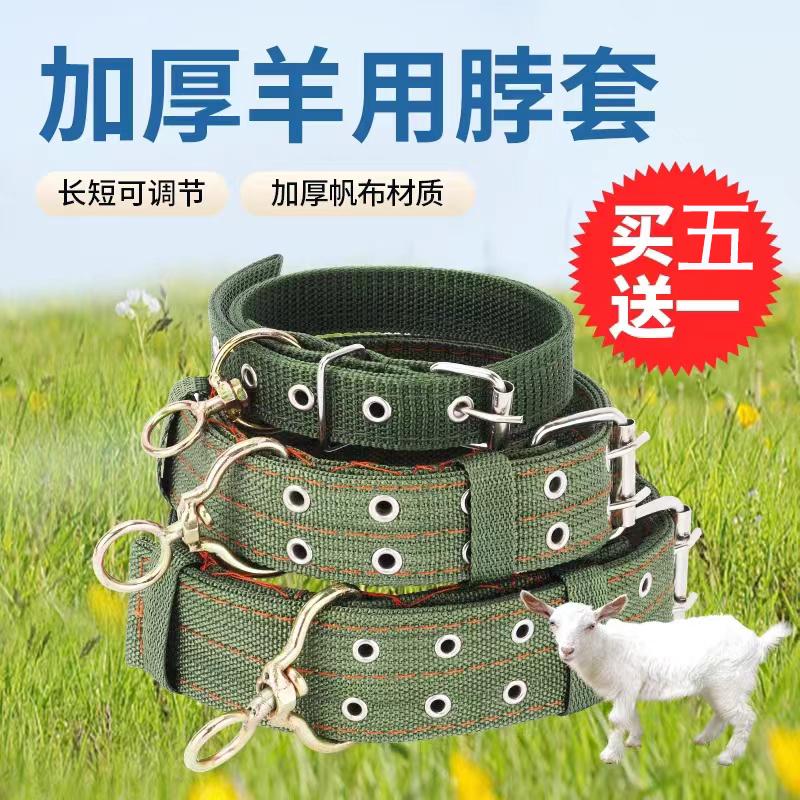 栓羊脖套项圈育肥羊保险扣拴脖圈绳子大型犬狗羊脖子神器养羊用品