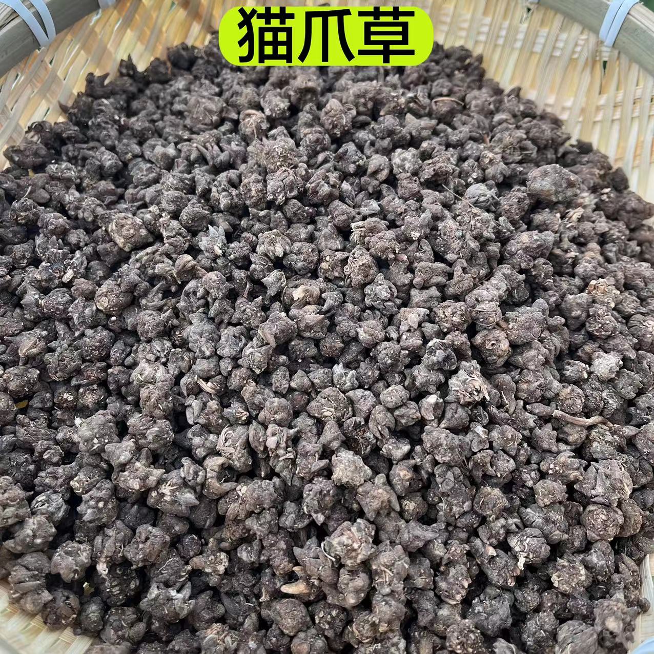 【正品猫 爪草】自然晒干 无熏无硫猫爪草 正品精选干货250克