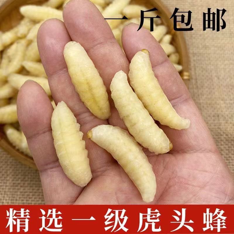 新货】金环虎头蜂一级二级四级蛹蜂巢土蜂蛹新鲜马蜂生鲜昆虫