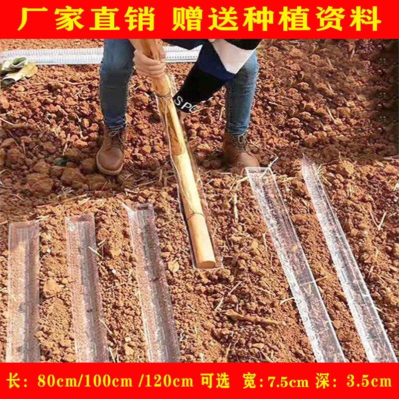 工厂直销淮山槽山药种植浅生槽加厚塑料定向槽U型槽包邮实用神器
