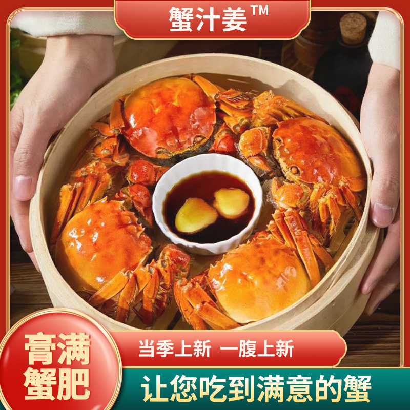 【3.0两全母】现捕鲜活正宗固城湖大闸蟹活蟹8-10只顺丰包邮螃蟹