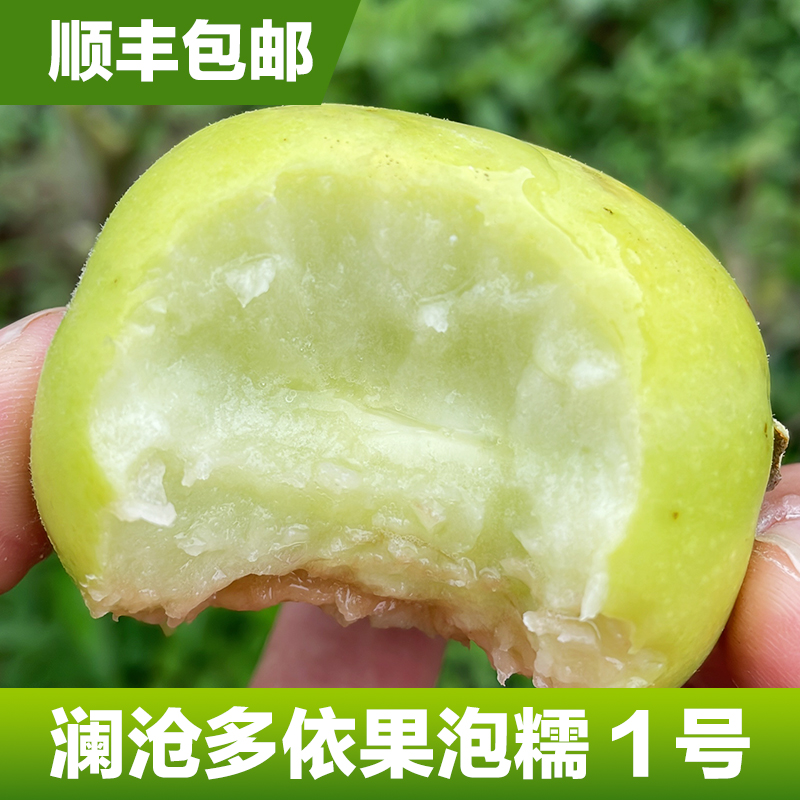 云南特产澜沧嫁接酸多依泡糯1号自产自销新鲜实惠好吃酸多依果