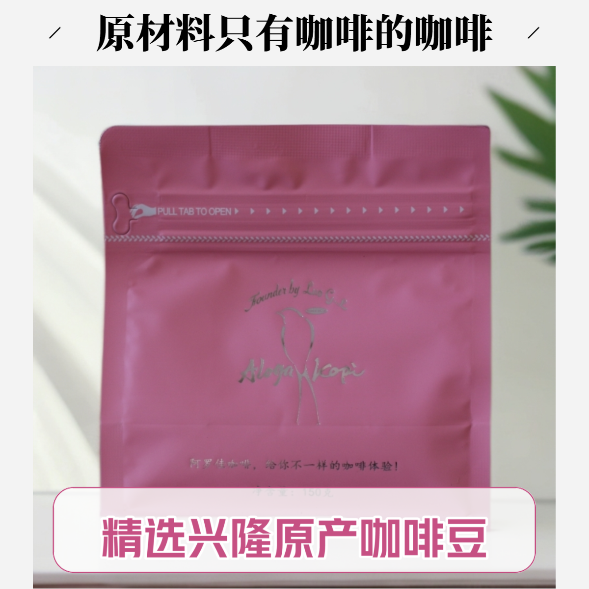手冲咖啡粉 海南精品阿罗佳咖啡新鲜烘焙醇厚回甘（原产兴隆）特醇