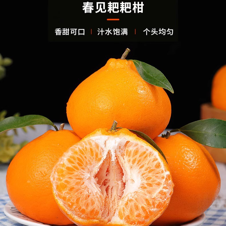 【月明专属】2025年四川春见耙耙柑水果新鲜丑桔橘子八怪粑粑柑多汁