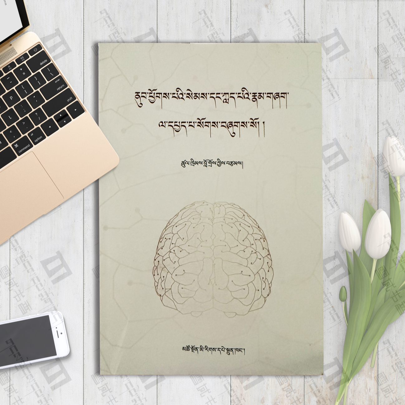 探究西方各领域关于大脑与意识的观点书籍藏文书藏书籍传统文化