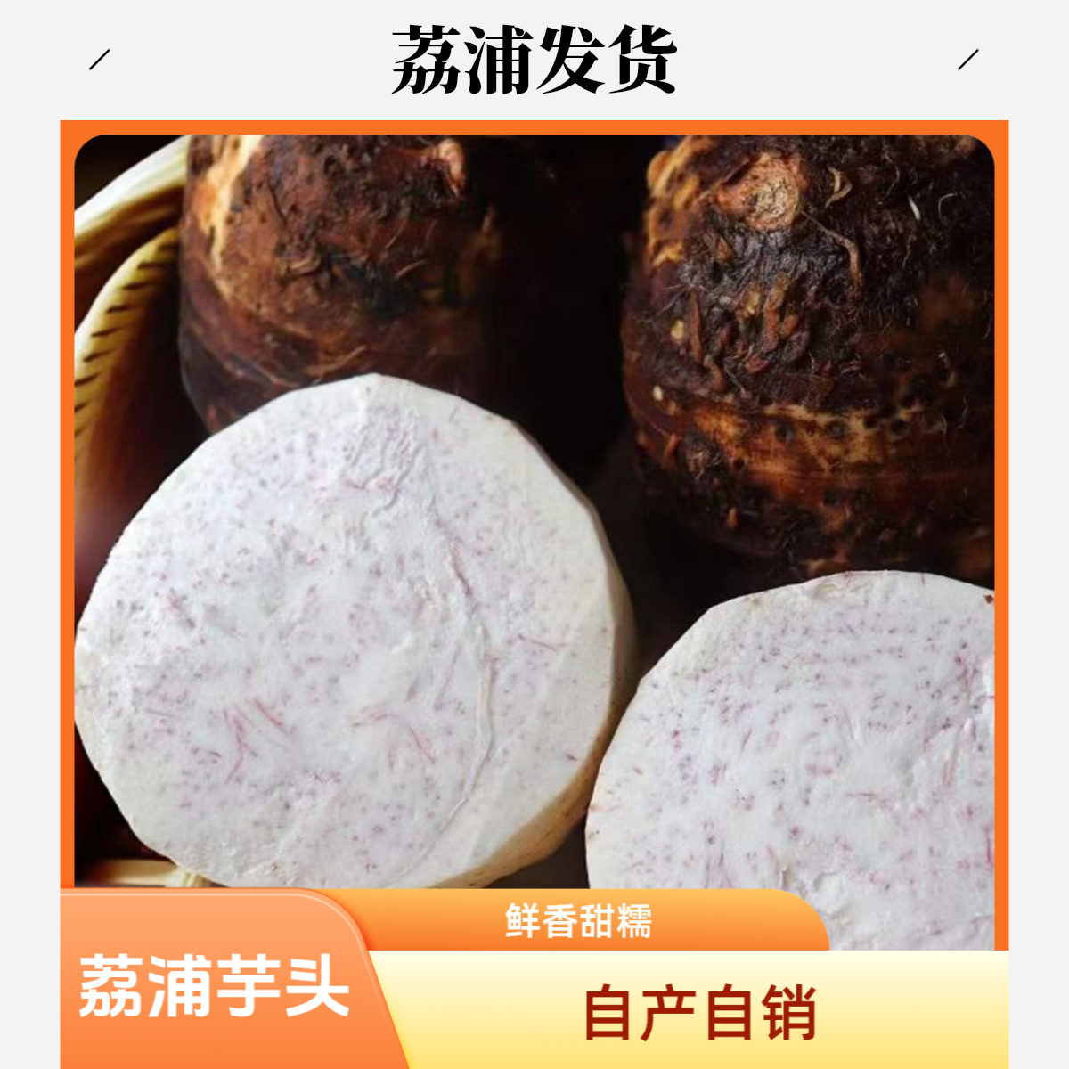 （荔浦发货）新鲜荔浦芋头自家种植自产自销粉糯香甜