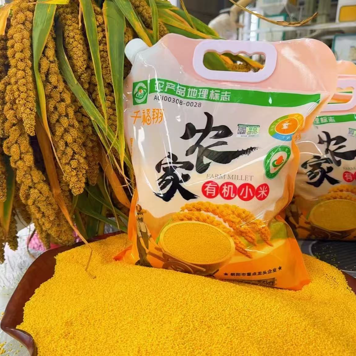【邢小厨专属】千福翔—2025年有机农家新黄小米2.5KG/袋