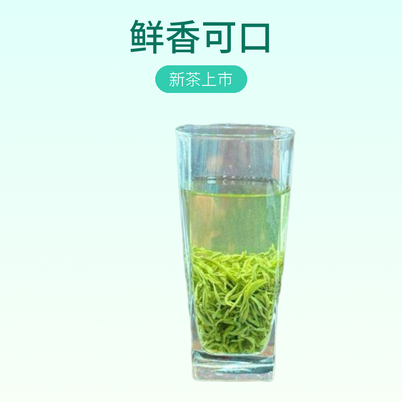 新茶板栗鲜香露天手工茶板栗香汤顺茶味足浓香绿茶假一赔四