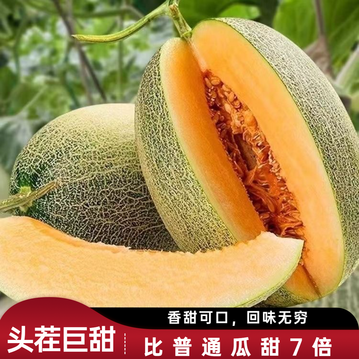 【现摘现发】正宗哈密瓜皮薄肉厚脆甜多汁头茬新鲜采摘当季新鲜水果