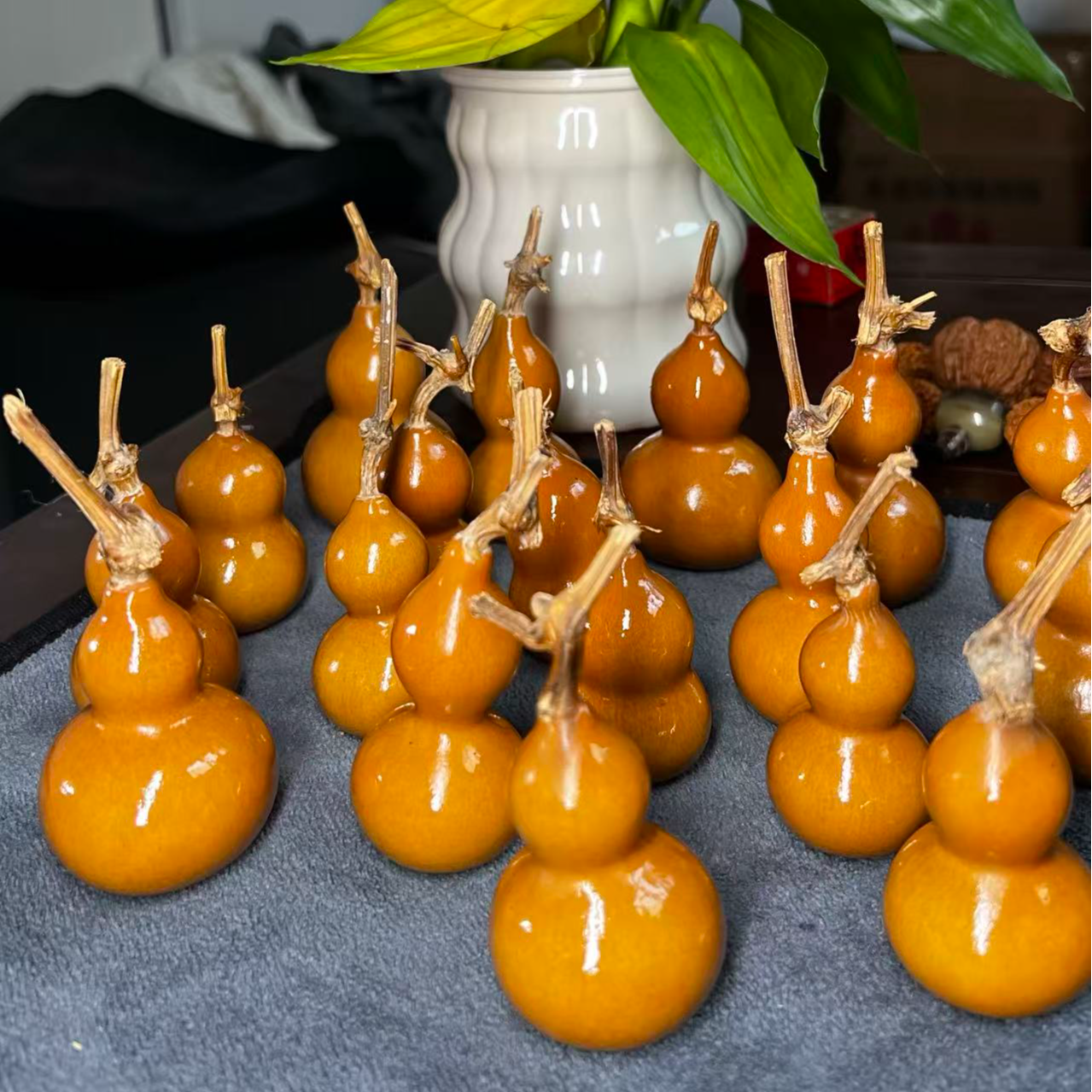 文玩葫芦高货直播专用链接看好不退不换