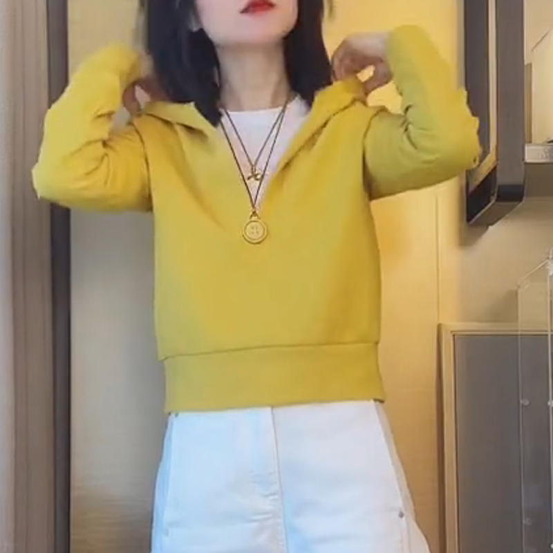 【连帽卫衣2025早秋新款休闲净版拉链连帽卫衣LK2506766