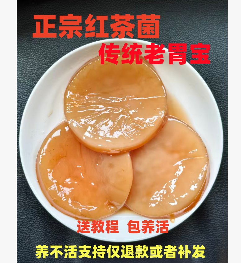 【视频同款】正宗老胃宝红茶菌农家康普茶醋蛾子海宝茶正品