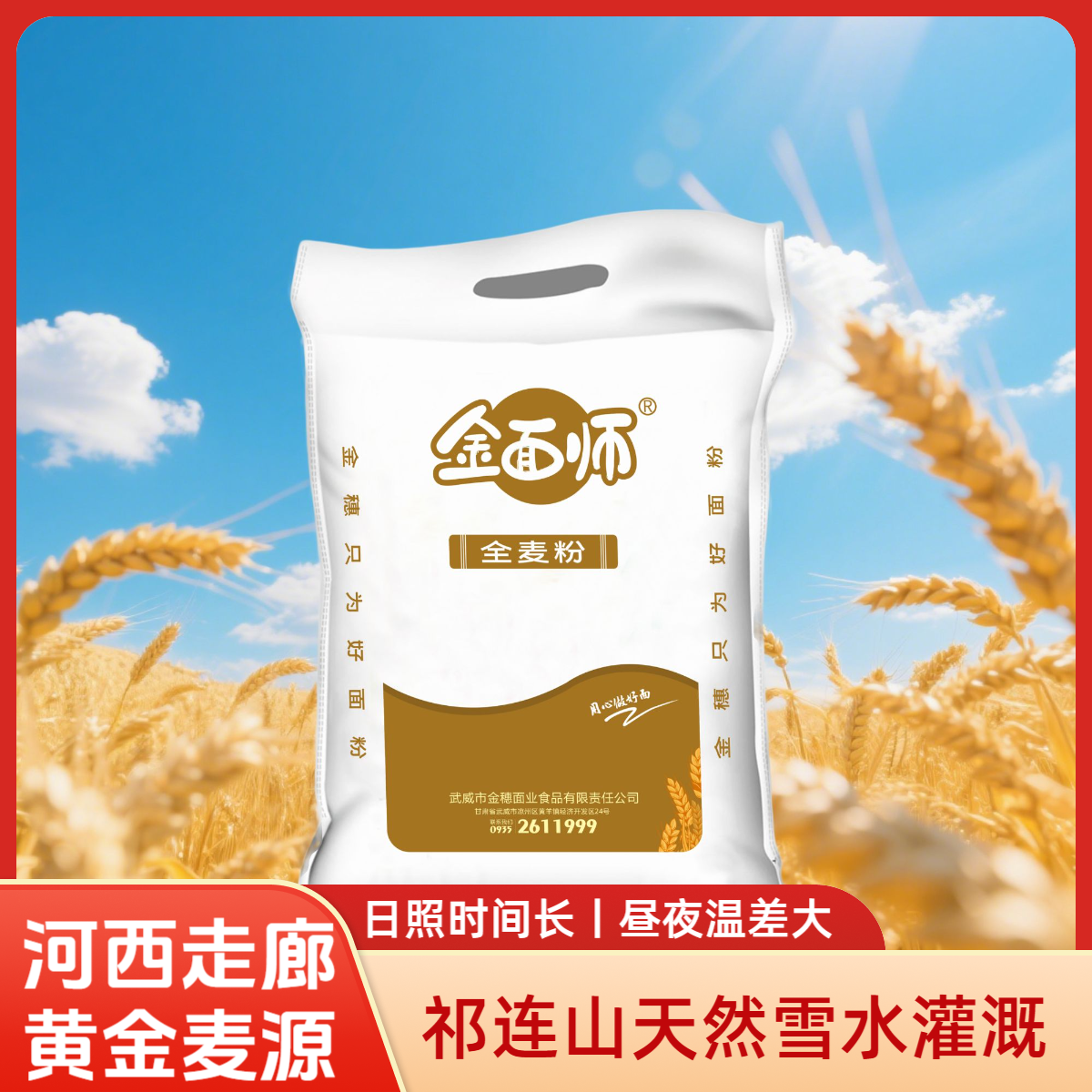 金面师正宗石磨农家全麦粉含麸皮粗粮河西走廊旱地冬小麦整粒研磨