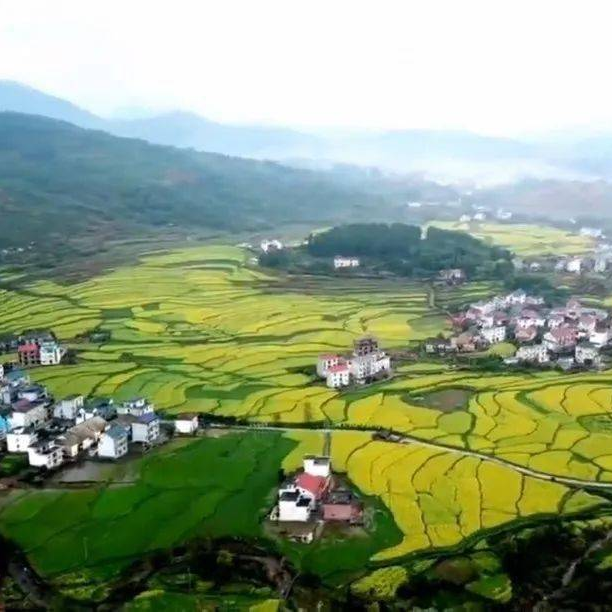 终端社群乡约街道俚井文化