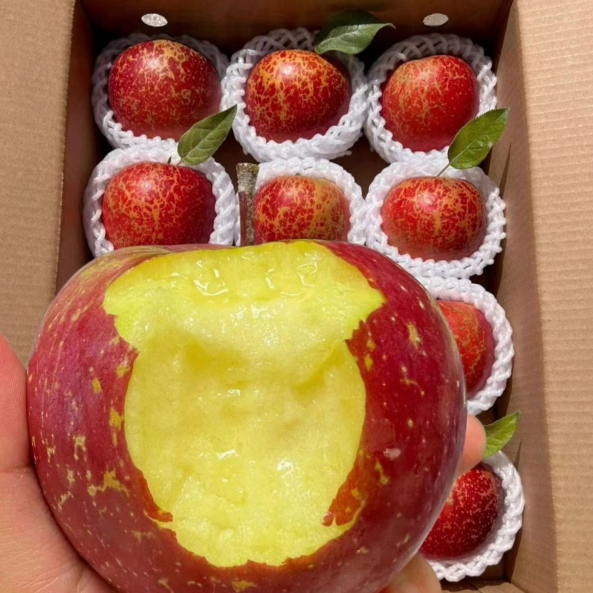 【正宗】云南昭通冰糖心丑苹果新鲜采摘产地直发酥脆香甜爆汁水果