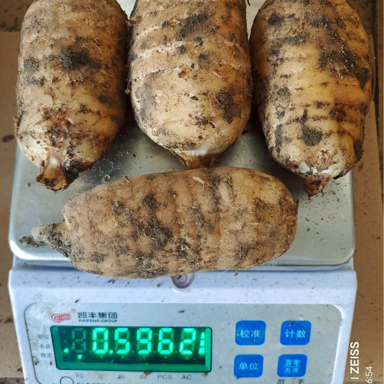 贵州毕节仿野生天麻大果1斤包邮（非云南天麻）