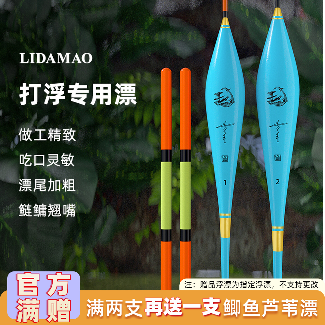 李大毛浅水浮钓翘嘴加粗醒目高灵敏鱼漂打浮专用漂鲢鳙浮漂打浮