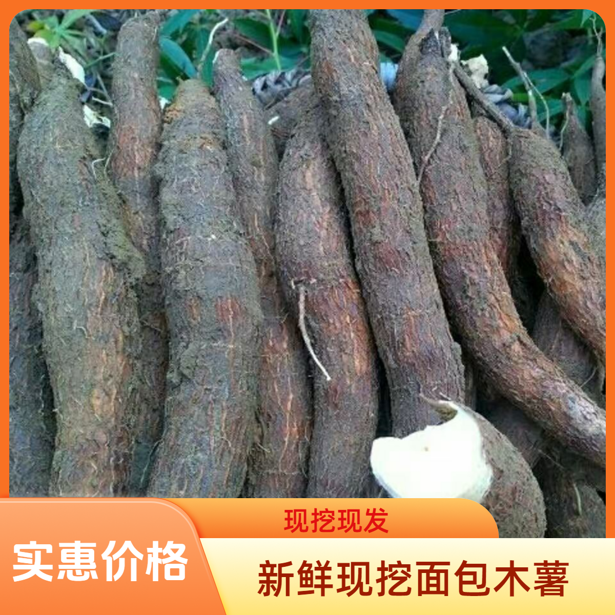 新鲜现挖红皮白肉面包木薯当季新鲜面包木薯糖水店同款粉糯香甜