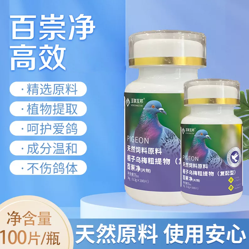 百崇净100片 赛鸽信鸽鸽子用品